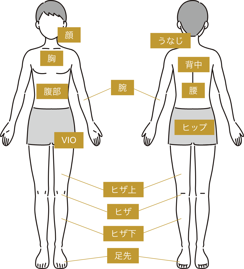 施術部位